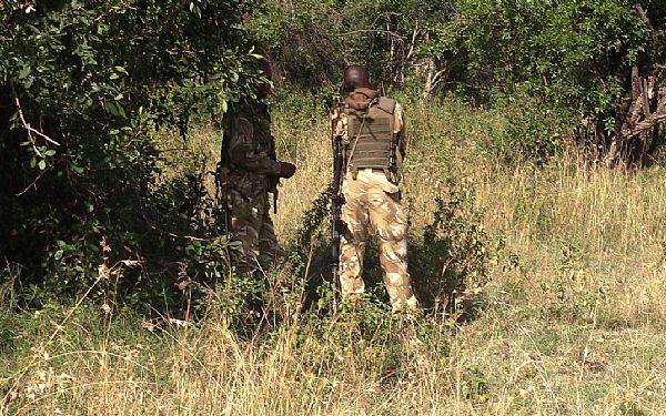 Safari i Afrika - historien bag