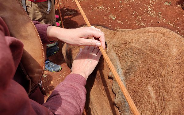 Frste gang til Afrika (1)