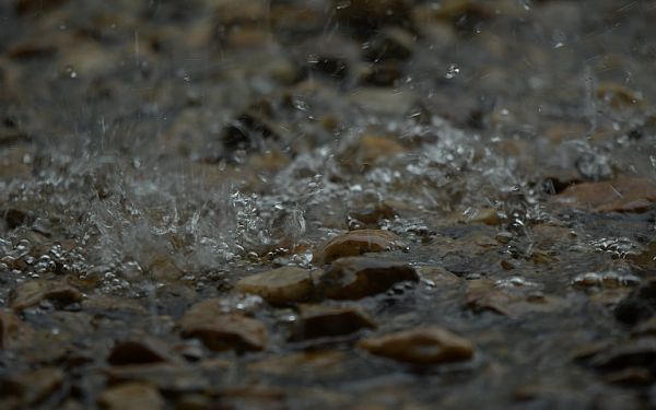 Regner det meget i Afrika?