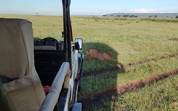 Er det meget varmt i Afrika?