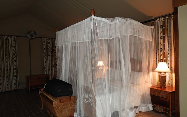 Er der mange myg i Afrika?