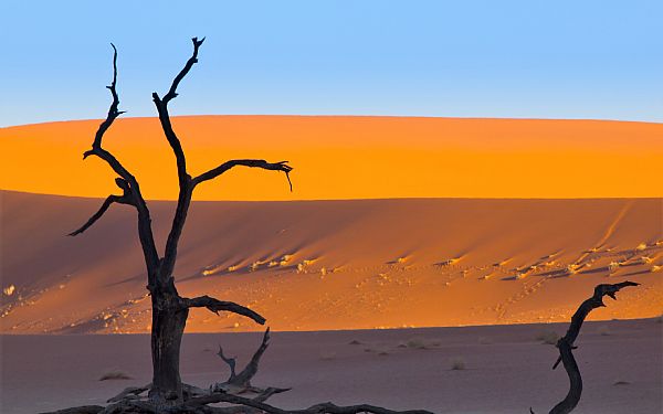 Kan man se andet end smukke rkener i Namibia?
