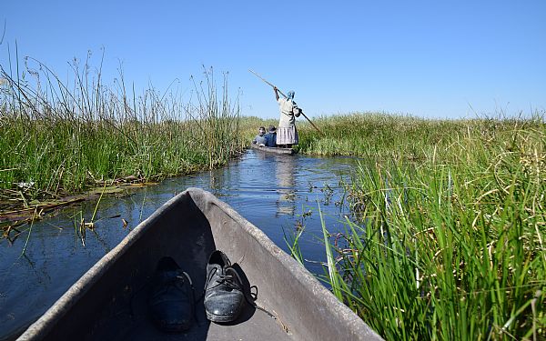 Er det dyrt at tage p safari i Okavango deltaet?