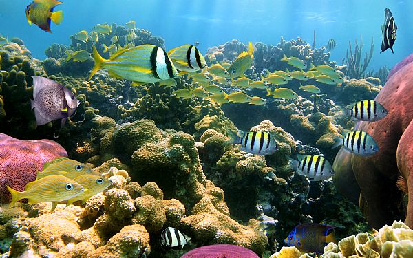 Er det dyrt at tage til Seychellerne?