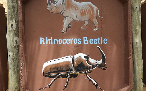 Hvad er The Big Five? 