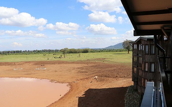 Treetops  hvor Elizabeth blev dronning af UK