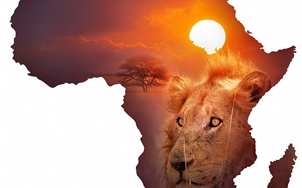 Hvilket land er Afrikas mindste?