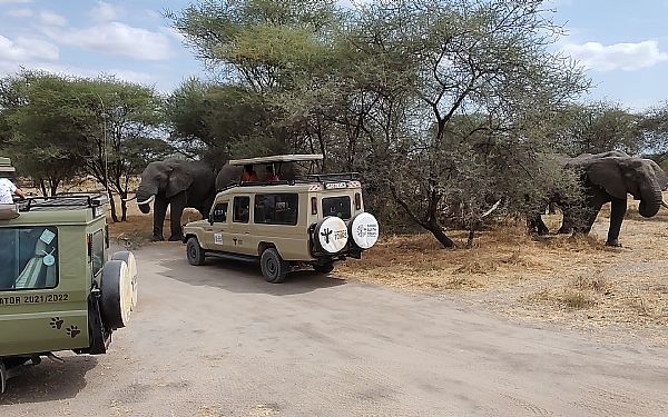 Hvad er forskellen p en grupperejse og en privat rejse?