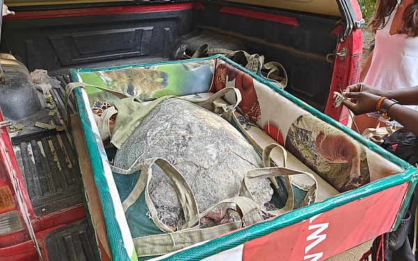 Lokalt engagement og mdet med de lokale