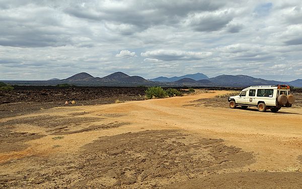 Amboseli, Tsavo og Kenyakysten (1)