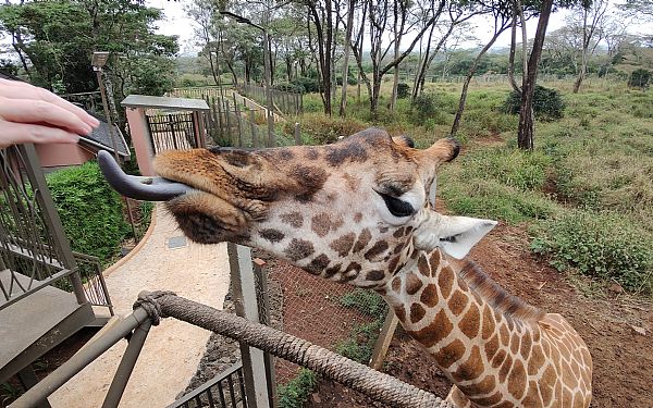 Nairobis sev�rdigheder