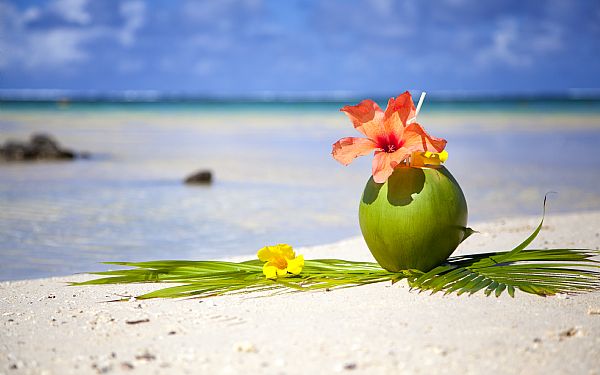 Guide til Mauritius' strande � hvilken del af �en passer bedst til dig?