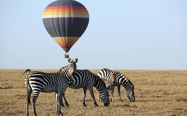 Kenya safari med Carsten - gte Afrika-ekspert