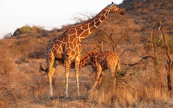 N�r turen skal evalueres - der er flere m�der