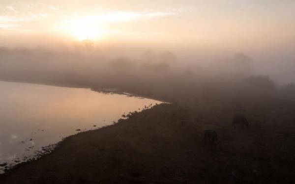 Fra rejseleder Michael og gsterne p Big Cat Safari