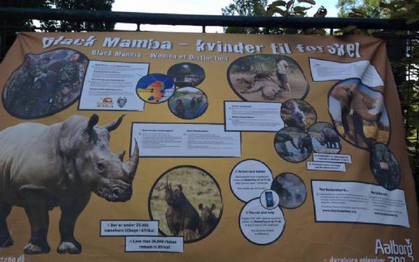 "Spitbraai" og kampen mod krybskyttere i Aalborg ZOO