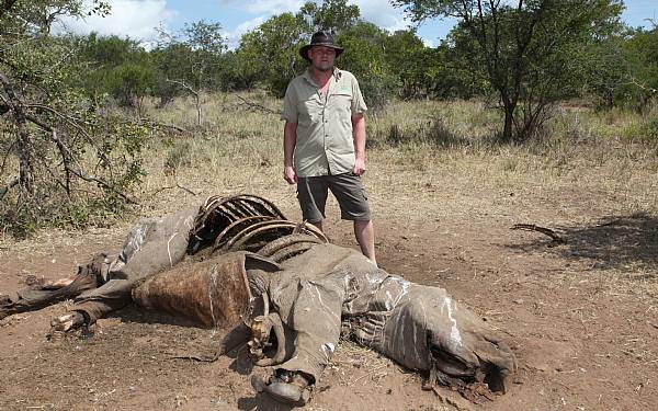 Rejseleder Paw Gosmers begejstring for Black Mamba