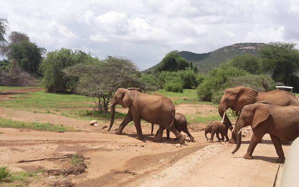 Fra rejseleder Geoffrey p studietur med vores kollega Gita i Samburu