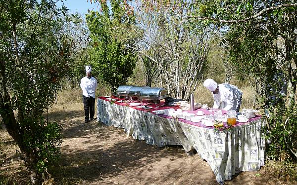 En typisk safari dag 