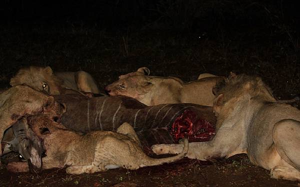 Moder Naturs krfter - er en man kan regne med!