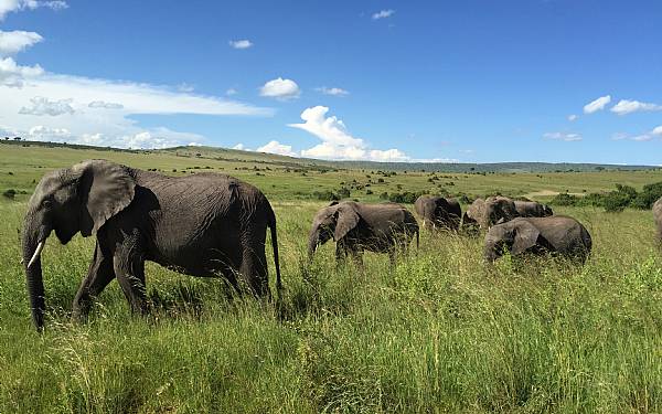 Fra rejseleder Geoffrey p privat safari med familien Clausen
