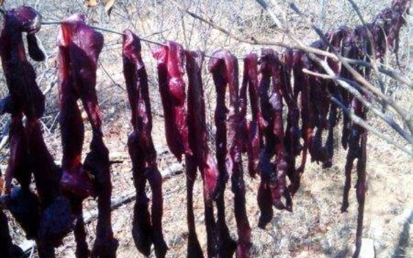 Endnu engang har Black Mamba vist deres vrd!