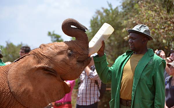 Fra rejseleder Geoffrey p Kenya Familie Safari