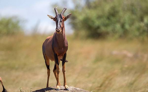 P fotosafari med Uri og Helle