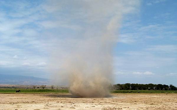 Uddrag af min dagbog (4)