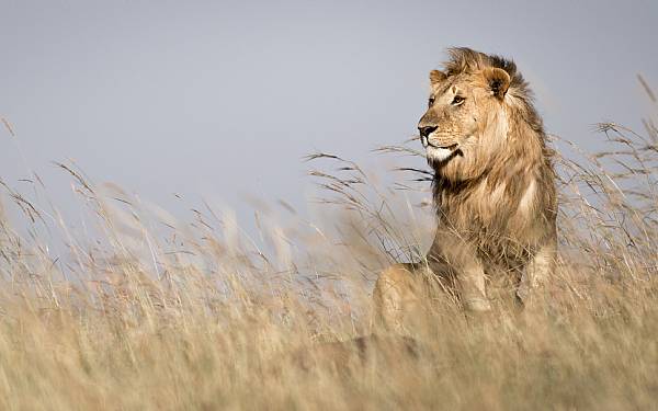 TV Midtvest p besg p vores stand p Ferie For Alle