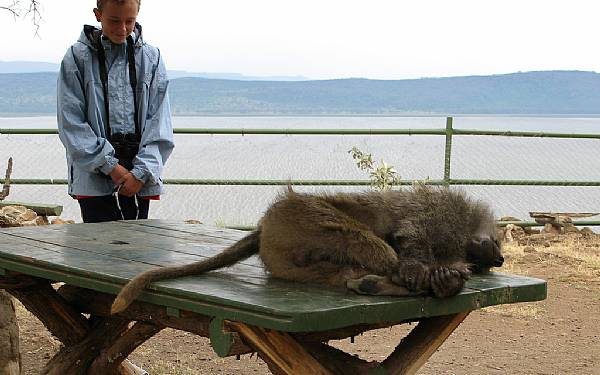 Anekdoter fra det virkelige Afrika (2)