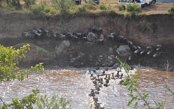 Fra rejseleder Carsten p Kenya Drmme Safari 10.07.2016