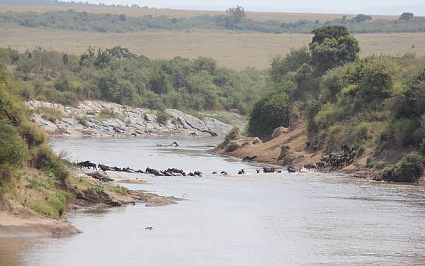 Kenya Familie Safari med rejseleder Nicolai