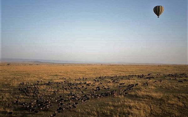 Fra rejseleder Geoffrey p privat safari med familien Rnberg