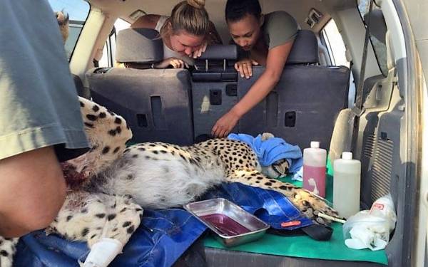 Varme og dejlige dage og endelig en smule regn