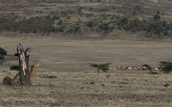 Karen Blixen Camp Safari