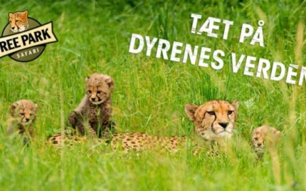 Mandelgave-konkurrence p Facebook er udtrukket  