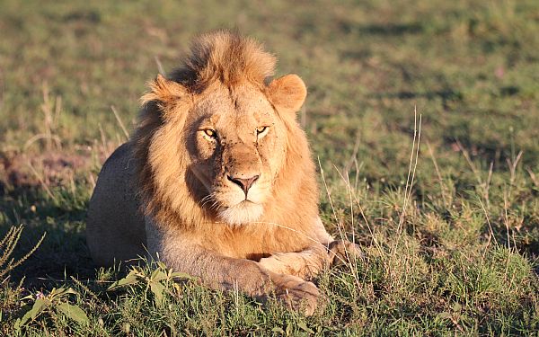 Fra rejseleder Jesper p privat safari med familien Ostenfeldt Jrgensen