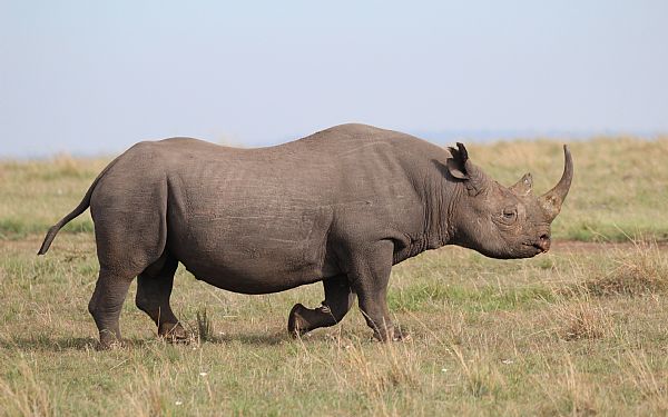 Fra rejseleder Jesper p privat safari med familien Mller