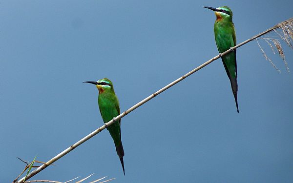 Great Trek Adventure med rejseleder John