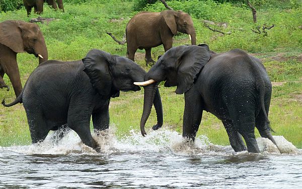 Ferie For Alle - Vinder af rundrejse for to personer til Afrika med Africa Tours