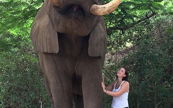 Elefantambassadr i Sydafrika med rejseleder Paw 