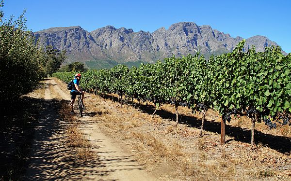 P cykel i Sydafrikas smukke vinland 