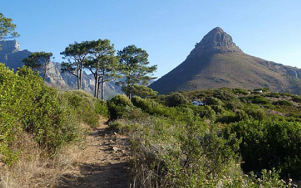 Hiking til toppen af Lions Head