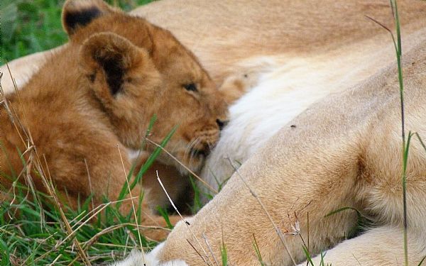 Fra rejseleder John i Baronessens Fodspor 09.03.2017