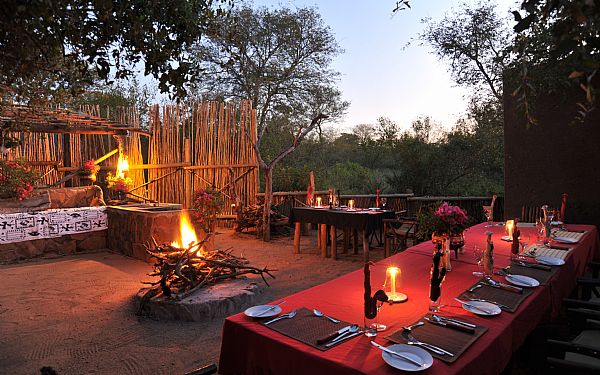 P safari og Cape Town i Sydafrika