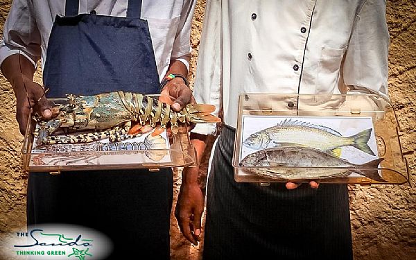 The Sands at Chale Island tnker lokalt, grnt og bredygtigt