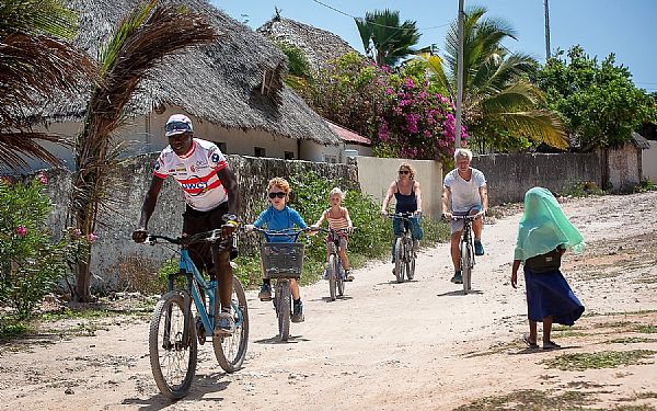 Endags delfin, familie- og cykelture p Zanzibar