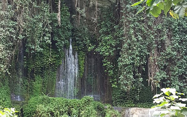 Udflugt til Themi vandfaldet nr Arusha 