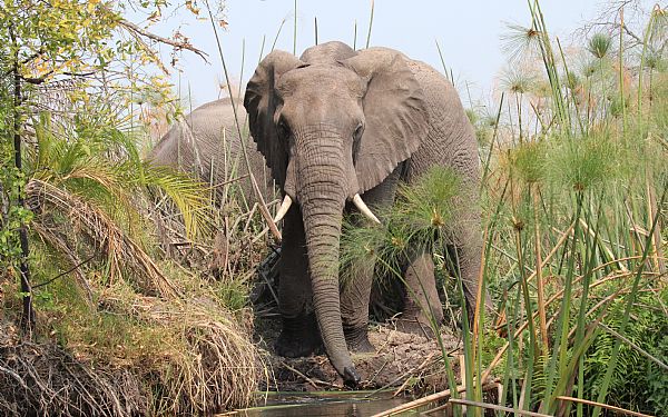 Fra rejseleder Jesper p Great Trek Adventure 22.09.2017